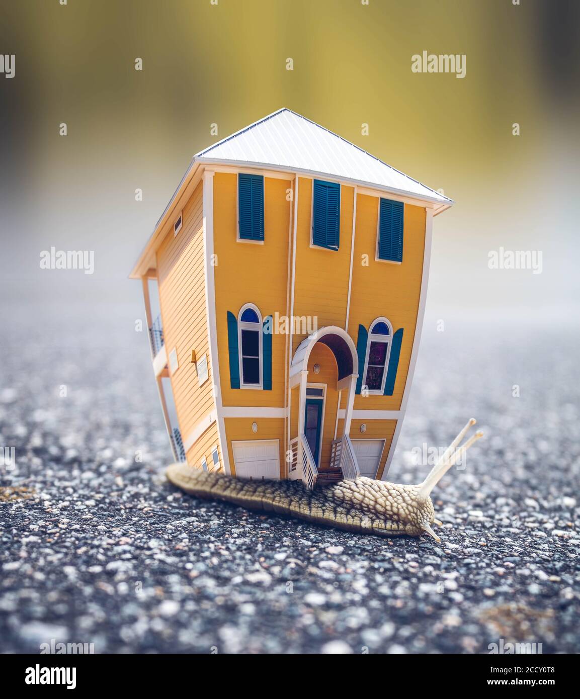Snail house building hires stock photography and images Alamy