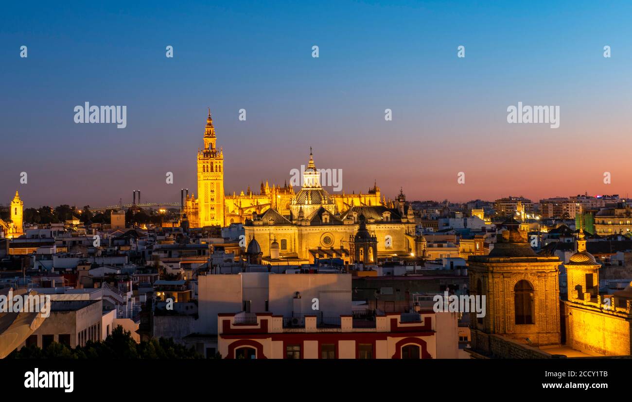 View from Metropol Parasol over the city, illuminated Cathedral of Seville with tower La Giralda, blue hour, Seville, Andalusia, Spain Stock Photo