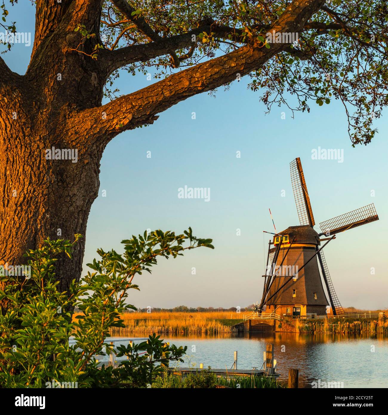 Windmill at sunset, Kinderdijk, UNESCO World Heritage, Zuid-Holland, Netherlands Stock Photo