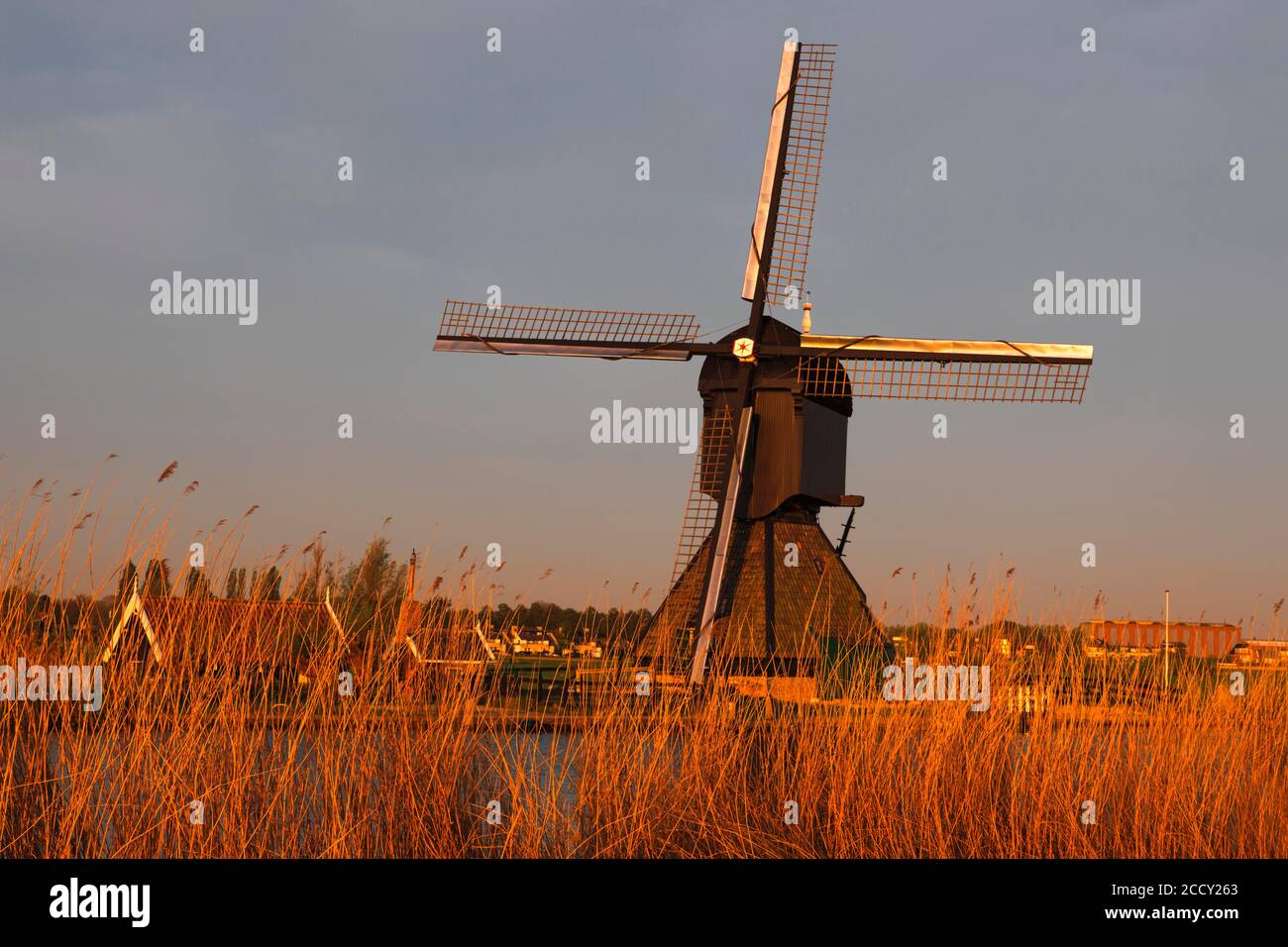 Windmill at sunrise, Kinderdijk, UNESCO World Heritage, Zuid-Holland, Netherlands Stock Photo