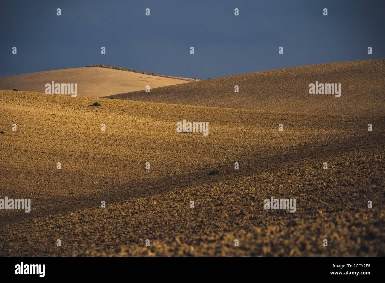 Cropland located on hills, Southern Italy, Italy Stock Photo