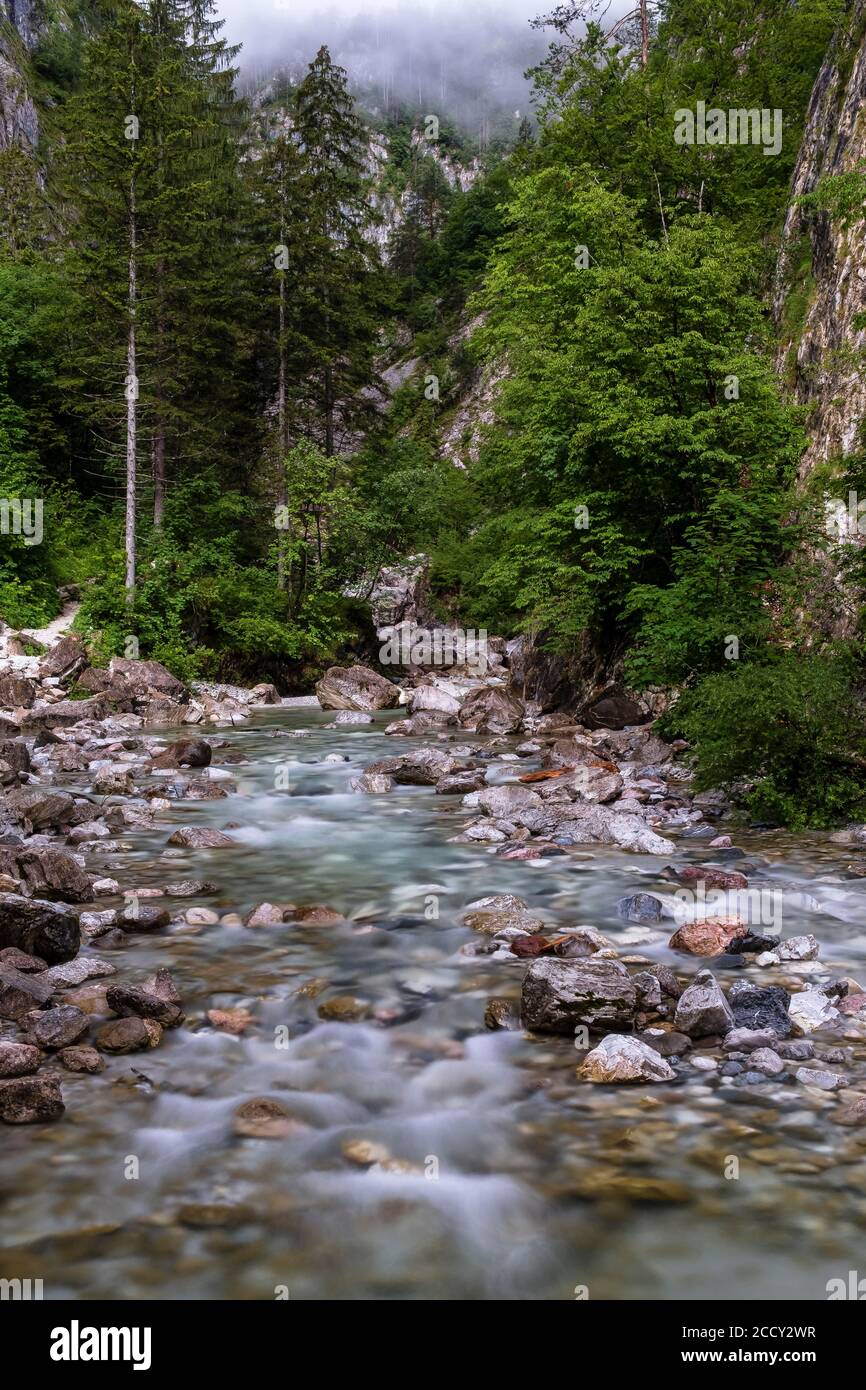Running water in the Garnitzenklamm, long exposure, Hermagor, Carinthia, Austria Stock Photo