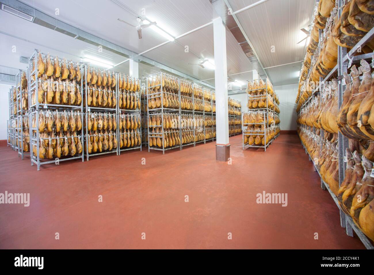 Storage room with raw ham, Cantimpalos factory, Segovia province, Spain Stock Photo