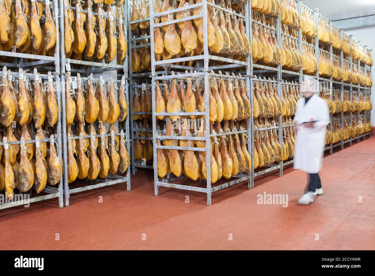 Employee checks raw ham in the drying room, Cantimpalos factory, Segovia province, Spain Stock Photo