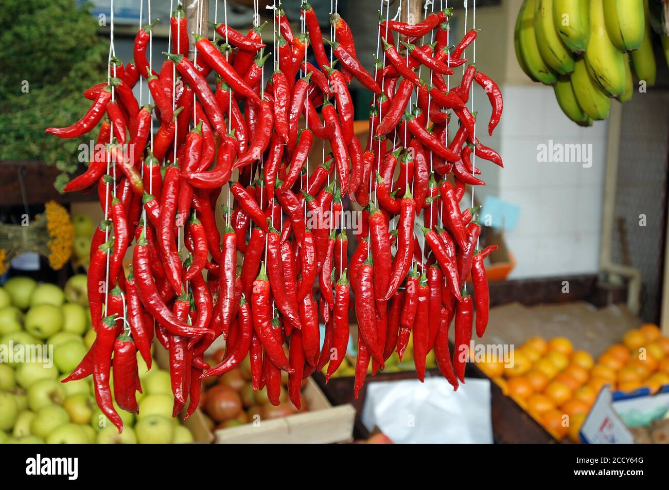 Red chilli peppers hanging in vegetable stalls in market hall, Funchal ...