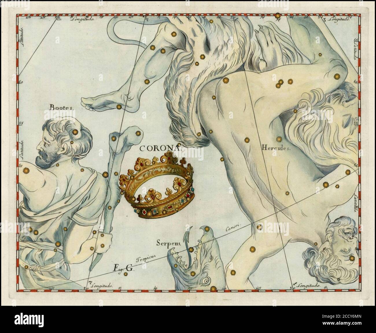 Hevelius hercules hi-res stock photography and images - Alamy