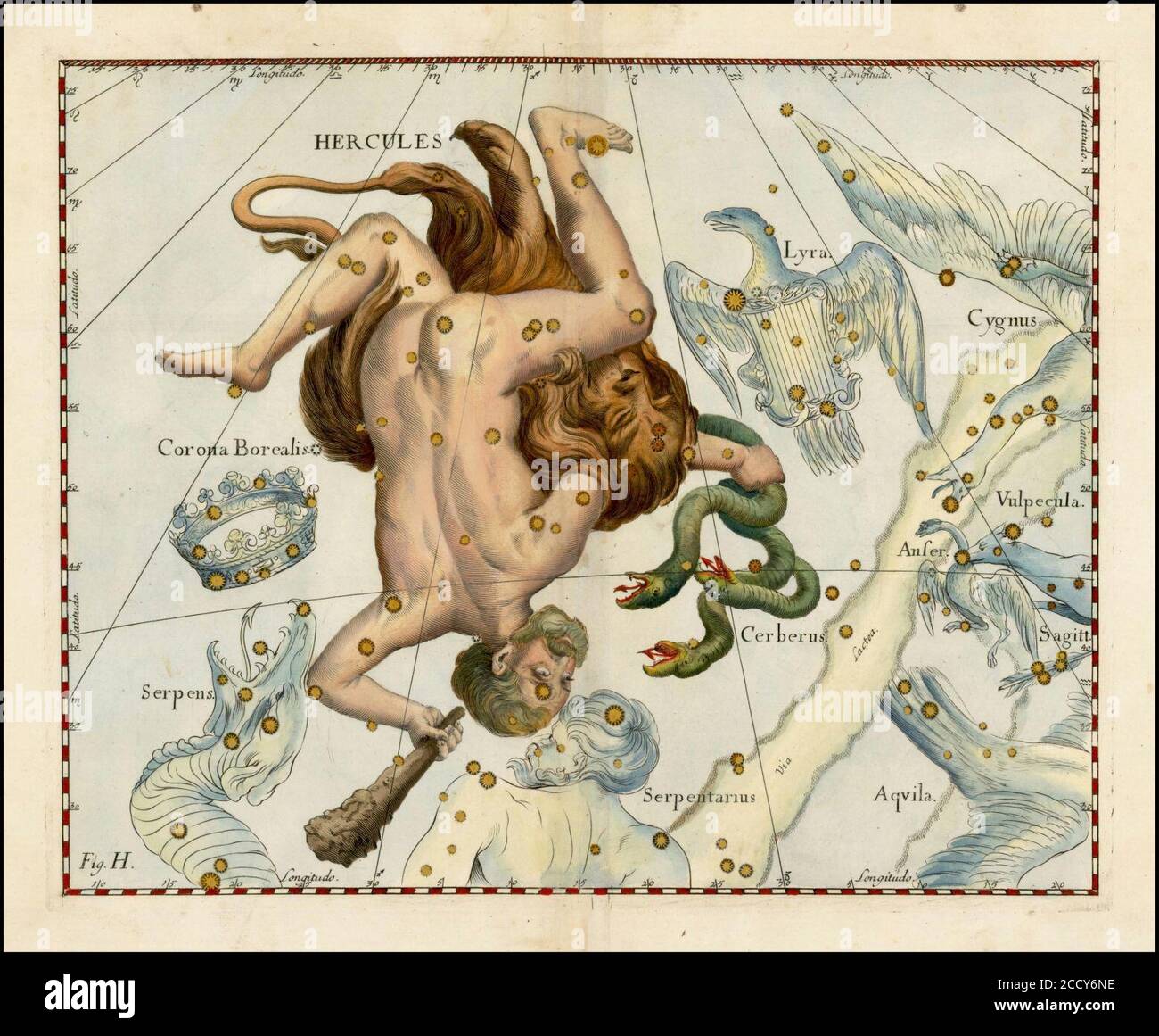 Hevelius hercules hi-res stock photography and images - Alamy