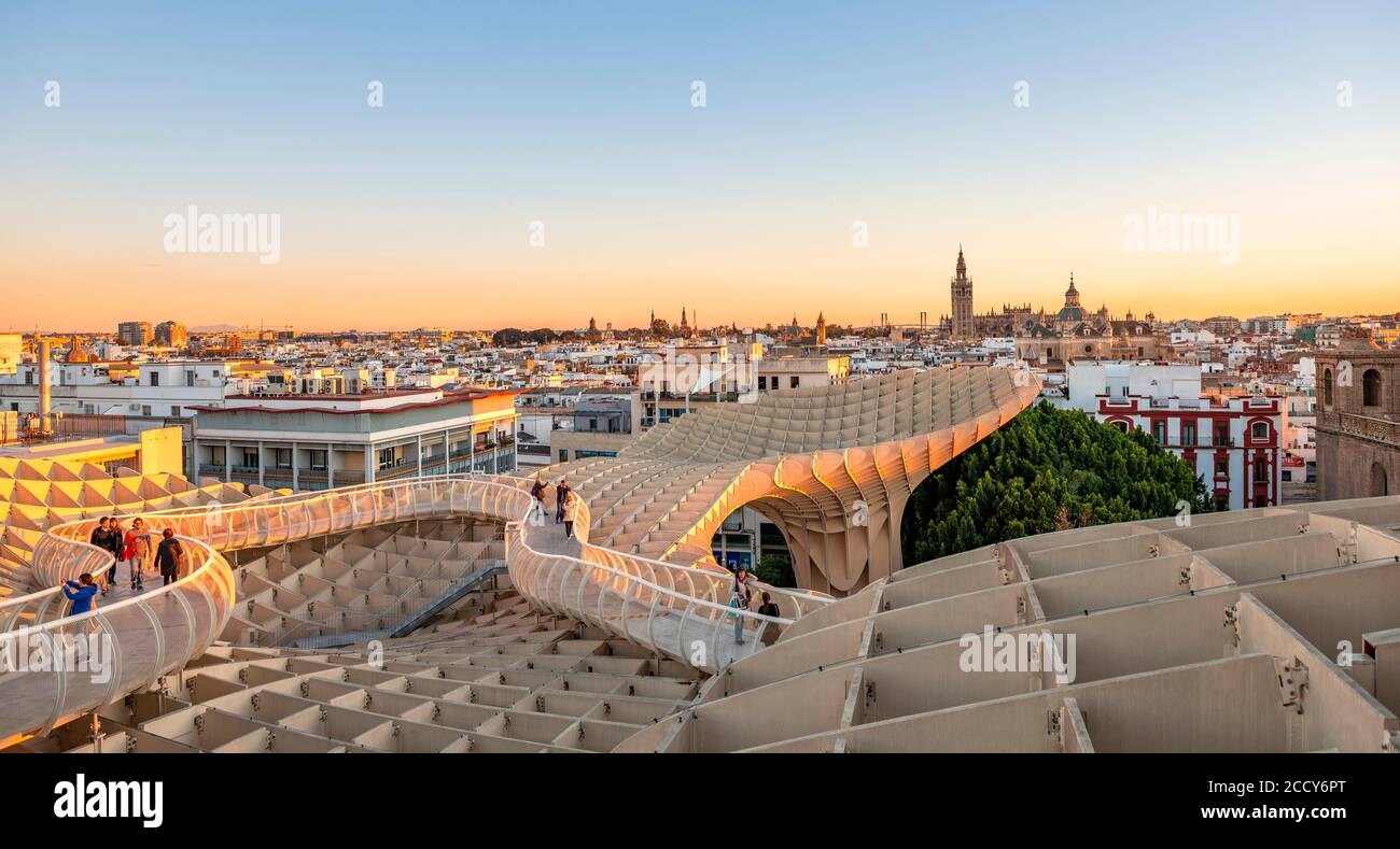 View over Sevilla at sunset, Cathedral of Sevilla with tower La Giralda and Iglesia del Salvador, Las Setas, Metropol Parasol, curved wooden Stock Photo