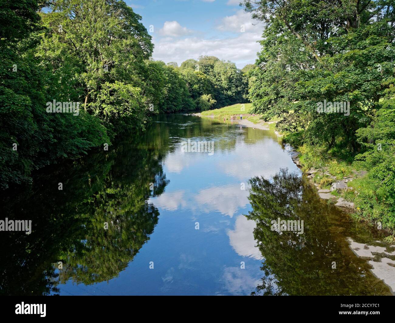 Scene on the River Kent at Wilson's Place near Sedgewick, Cumbria on a tranquil summer day. A salmon river and a site of special scientific interest. Stock Photo