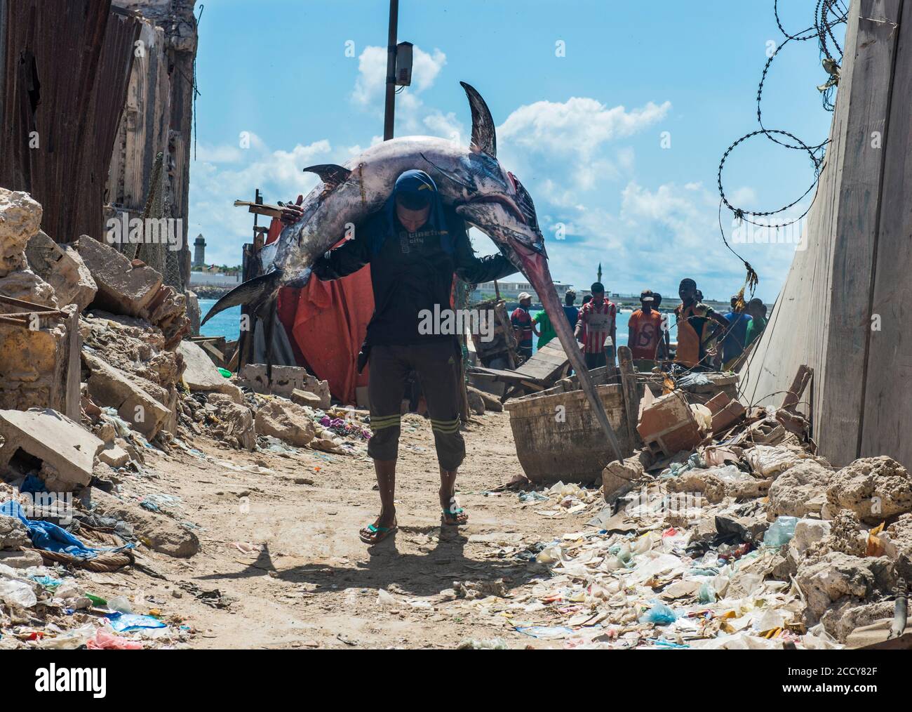 Man carrying a giant swordfish to the fishmarket of Mogadishu, Somalia ...