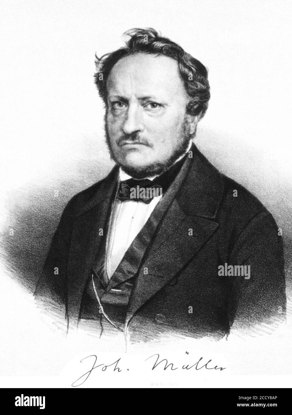 Johannes Peter Müller. Stock Photo