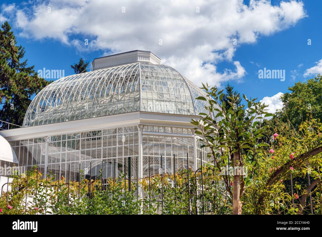 Greenhouse in Albert Kahn Garden - Boulogne-Billancourt - France Stock Photo