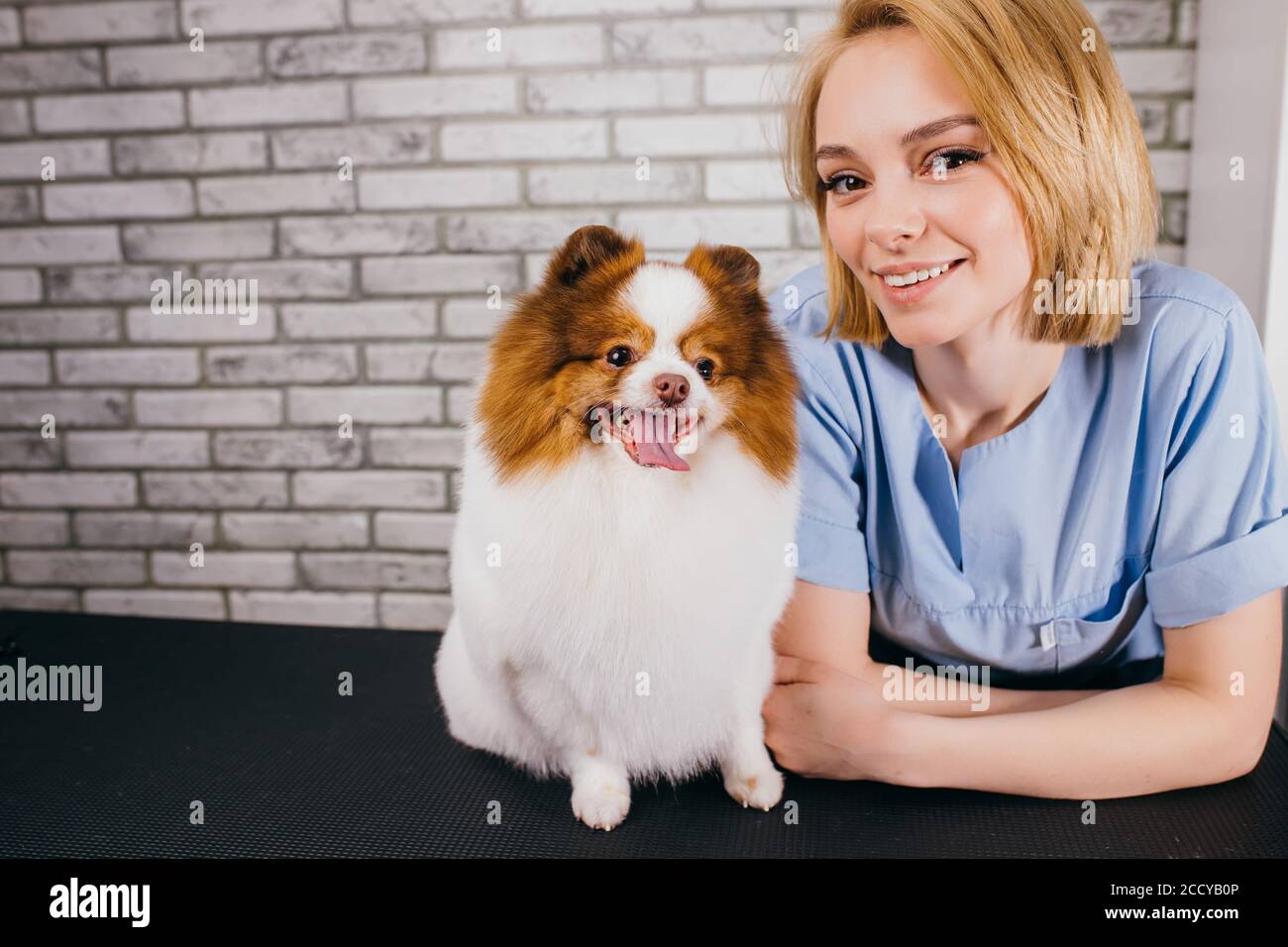 Happy hotsell grooming dog