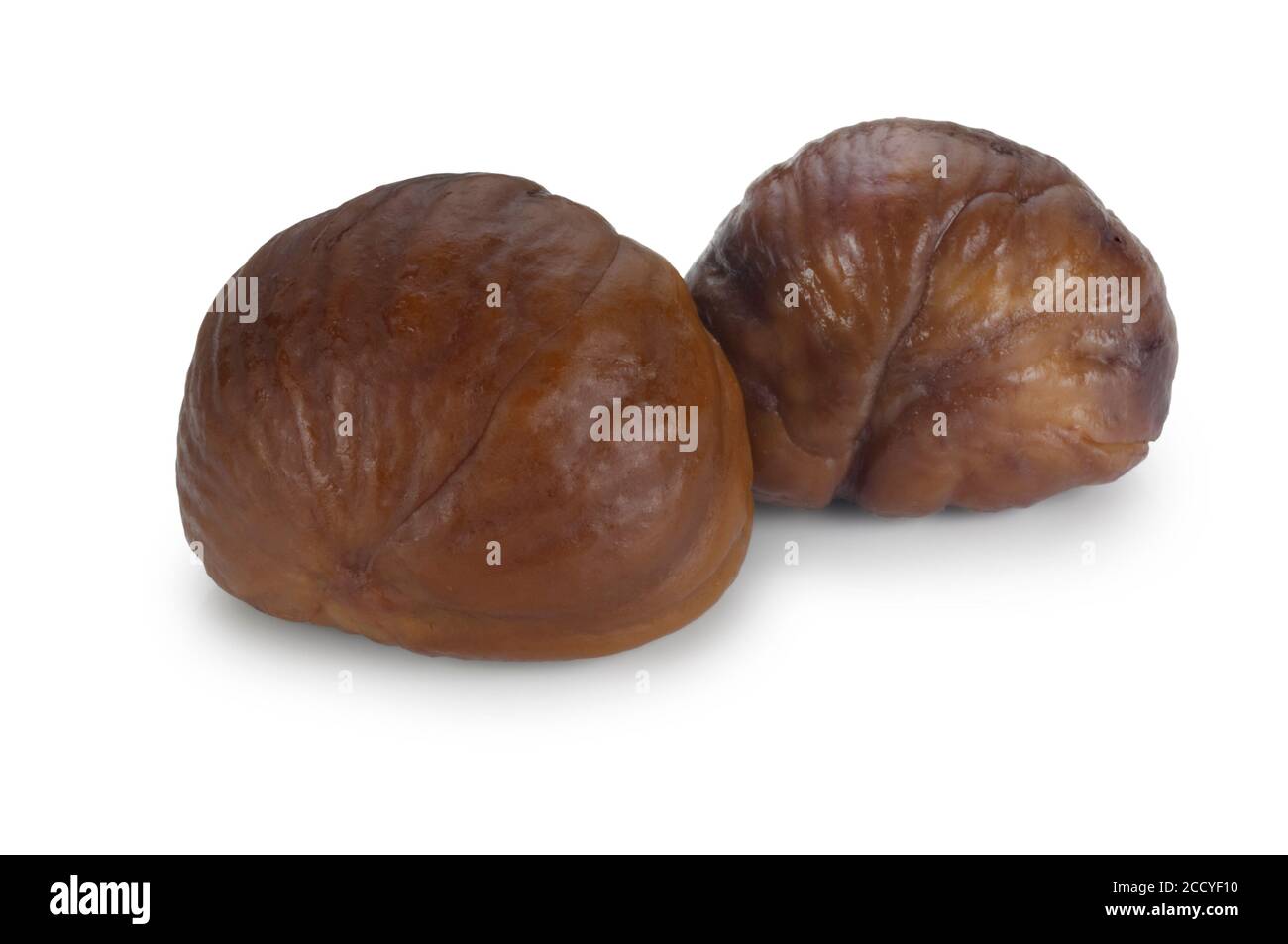 Studio shot of cooked, peeled, sweet chestnuts cut out against a white background. Stock Photo