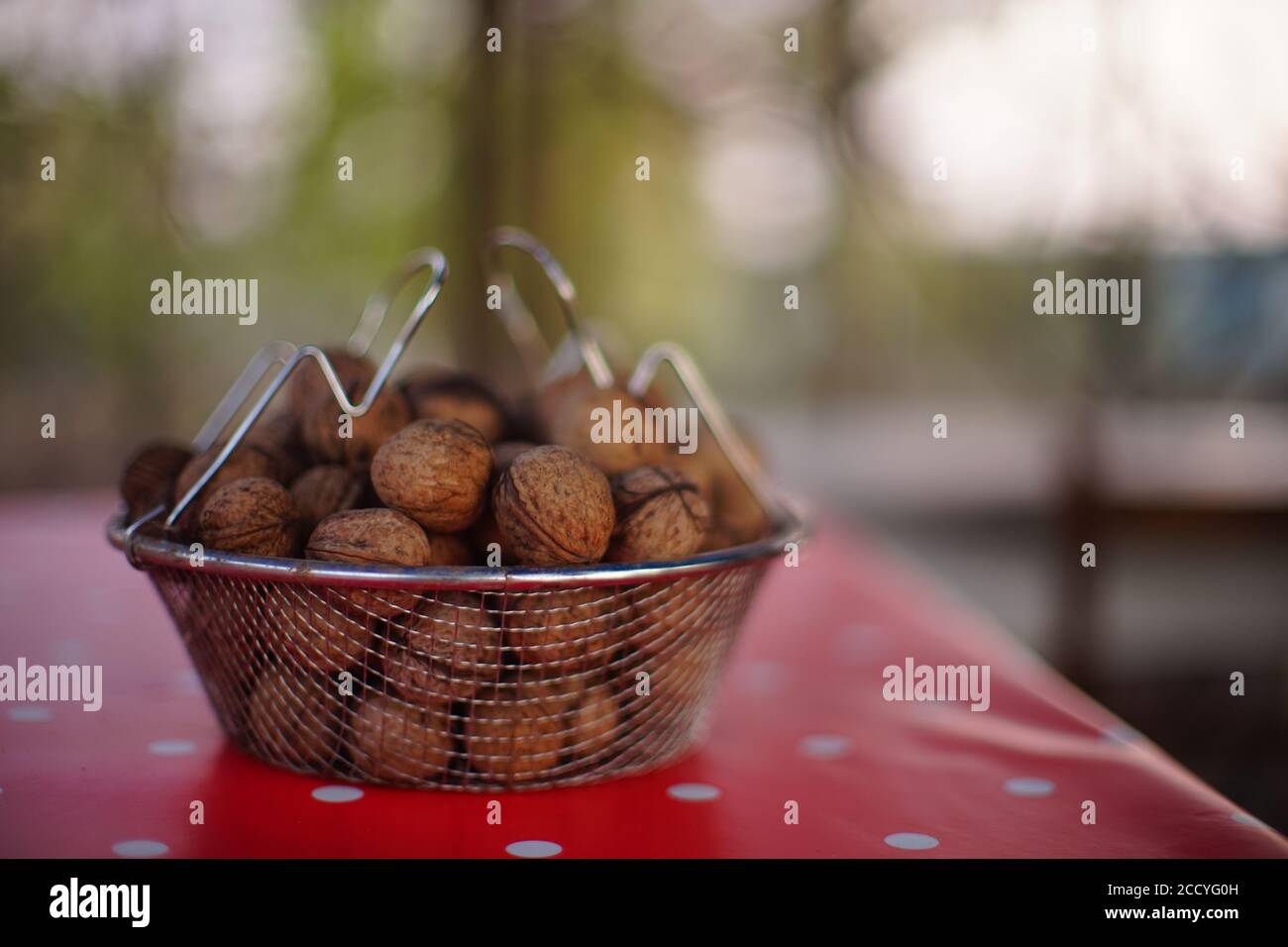 Mesh bowl full of walnuts on a red tablecloth with white dots Stock Photo