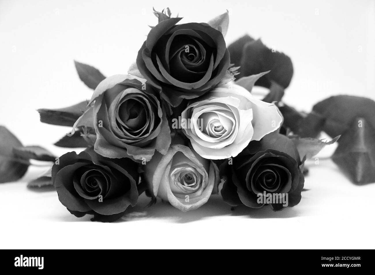 White roses falling beautiful Black and White Stock Photos & Images - Alamy