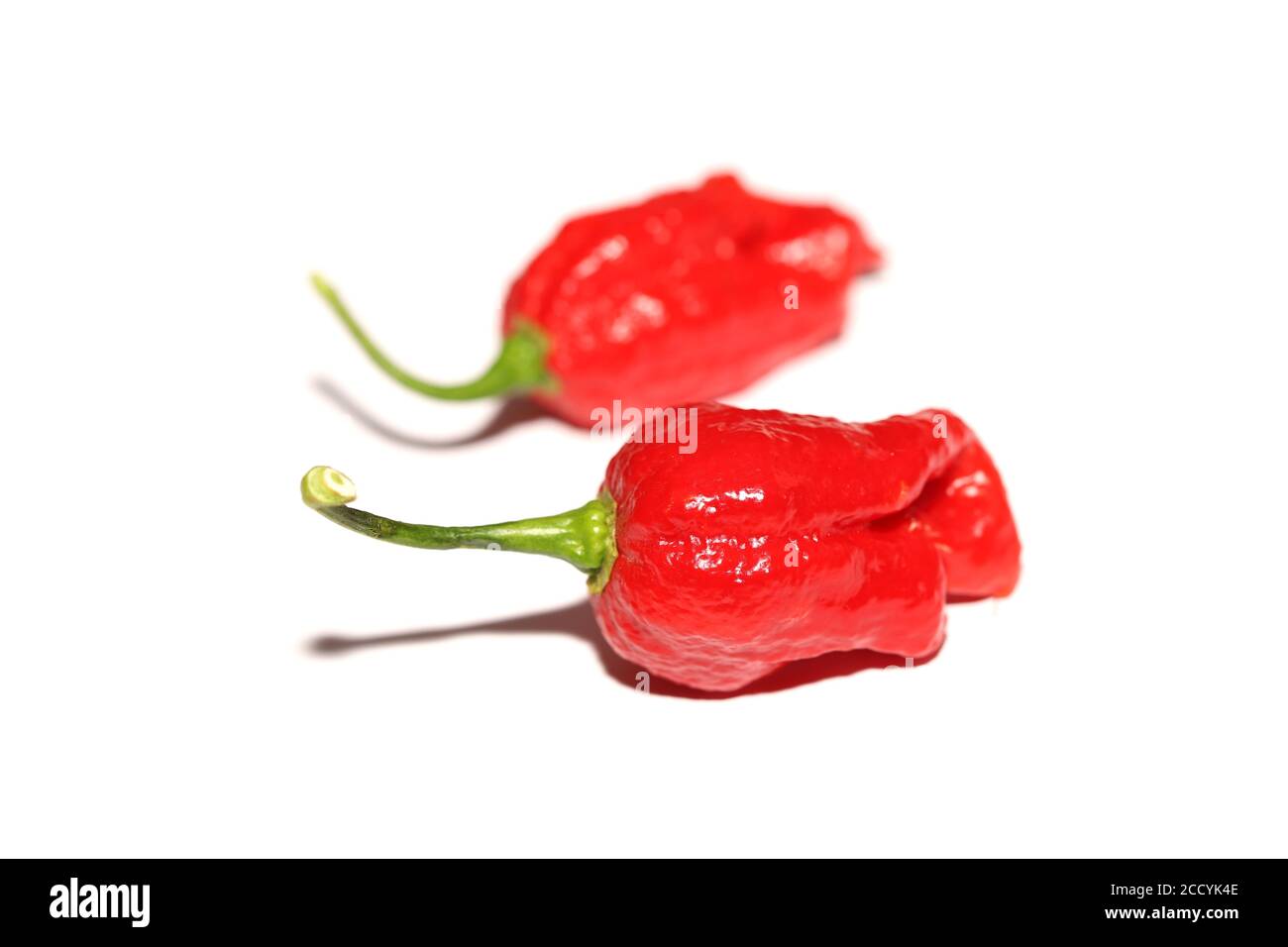 Red hot chili peppers isolated on white Stock Photo - Alamy