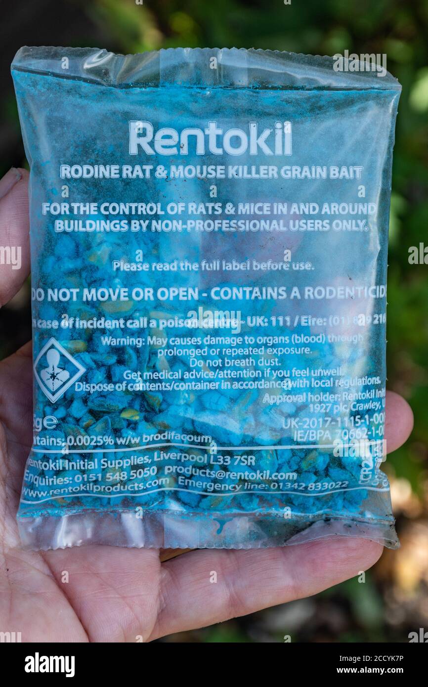 Packet of rentokil rodine rat and mouse killer poison grain bait Stock Photo