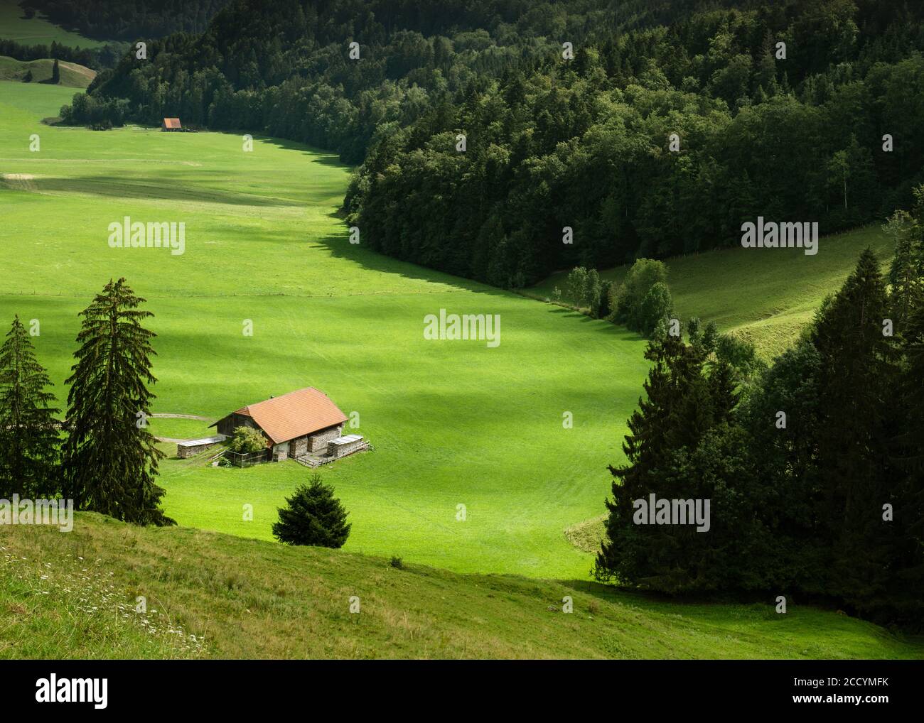 Swiss farm among the green field of Gruyere region, Switzerland Stock Photo