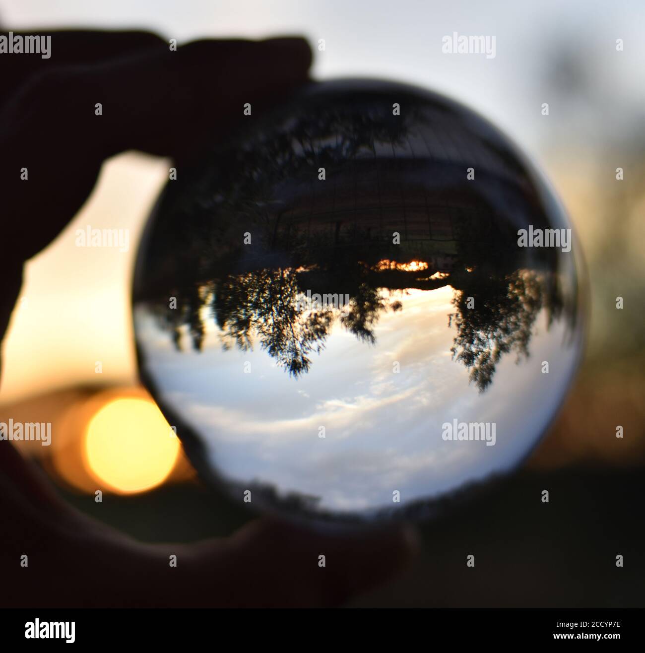 My Image 22