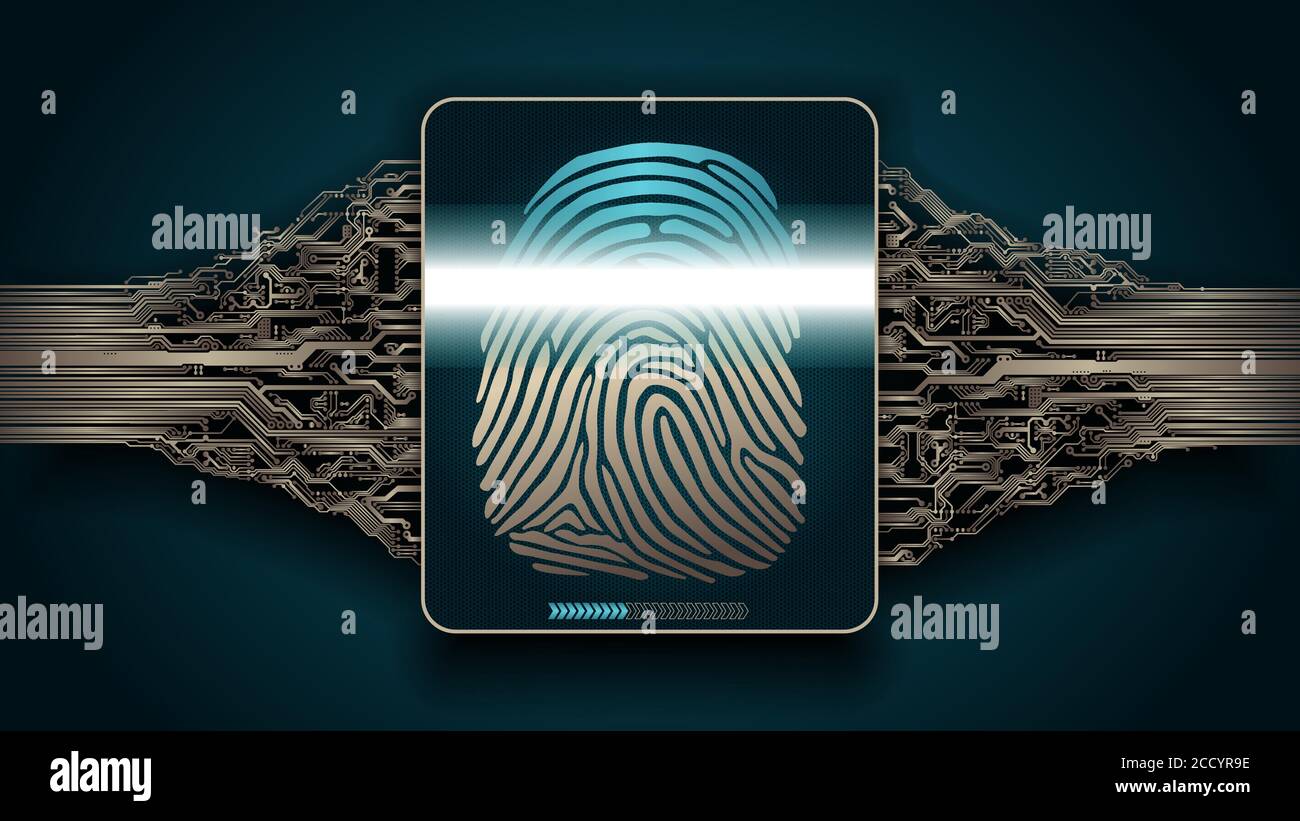 The system of fingerprint scanning biometric security devices