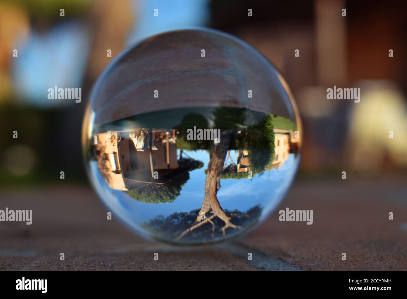 photographing through a Lensball Stock Photo