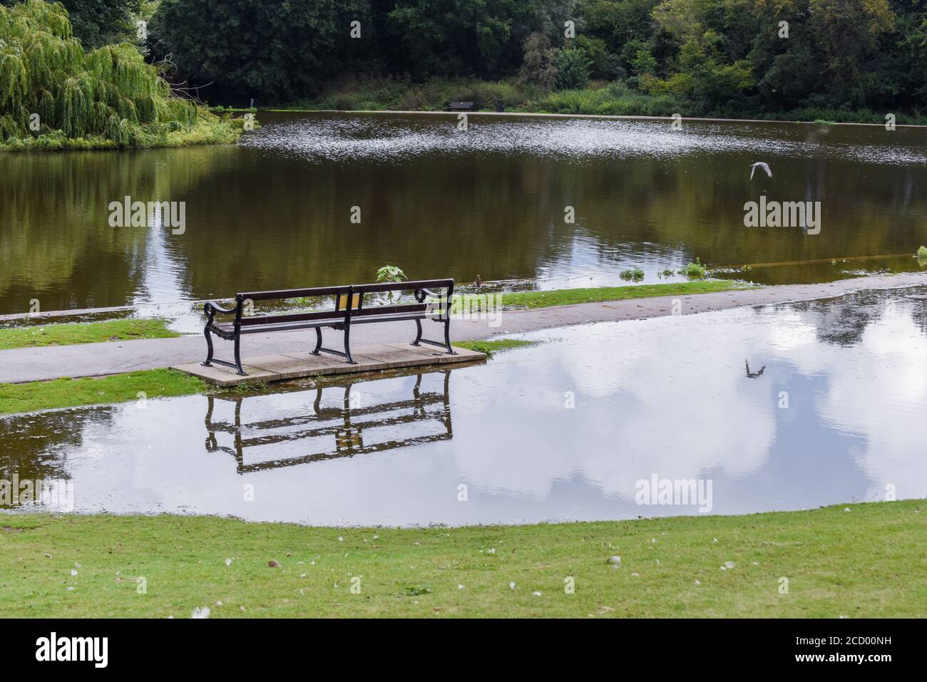 Flood water overflows from a lake during flooding after heavy rain and bad weather Stock Photo