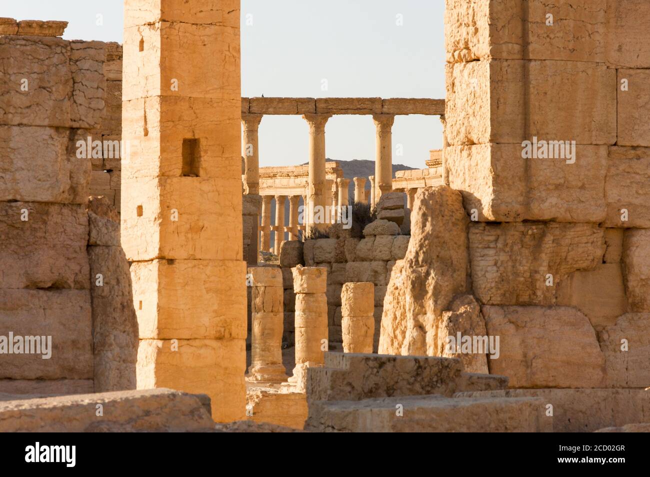 Palmyre Syria 2009 The ruins of an ancient city dating from the Roman period Stock Photo