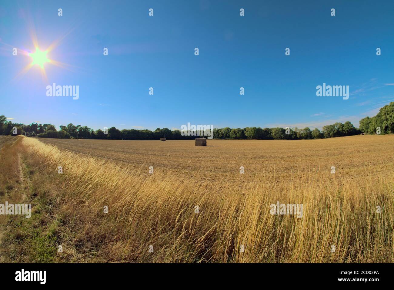 Fish Eye view of a farm field in summer on the North Downs in Surrey Stock Photo