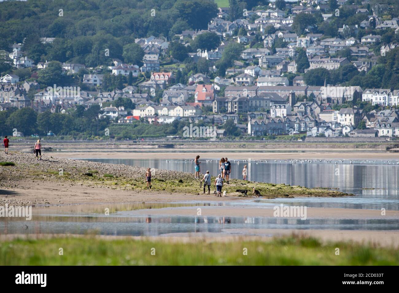 View of Grange-over-Sands over the Kent Estuary from New Barns, Arnside, Cumbria, UK. Stock Photo
