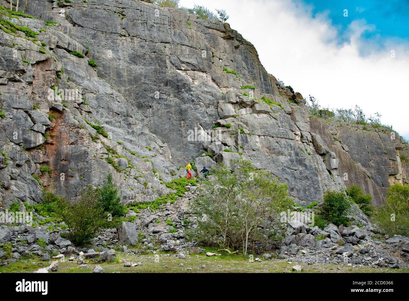 View of climbers on limestone cliff at  Trowbarrow Quarry Nature Reserve, Silverdale, Carnforth, Lancashire, UK. Stock Photo