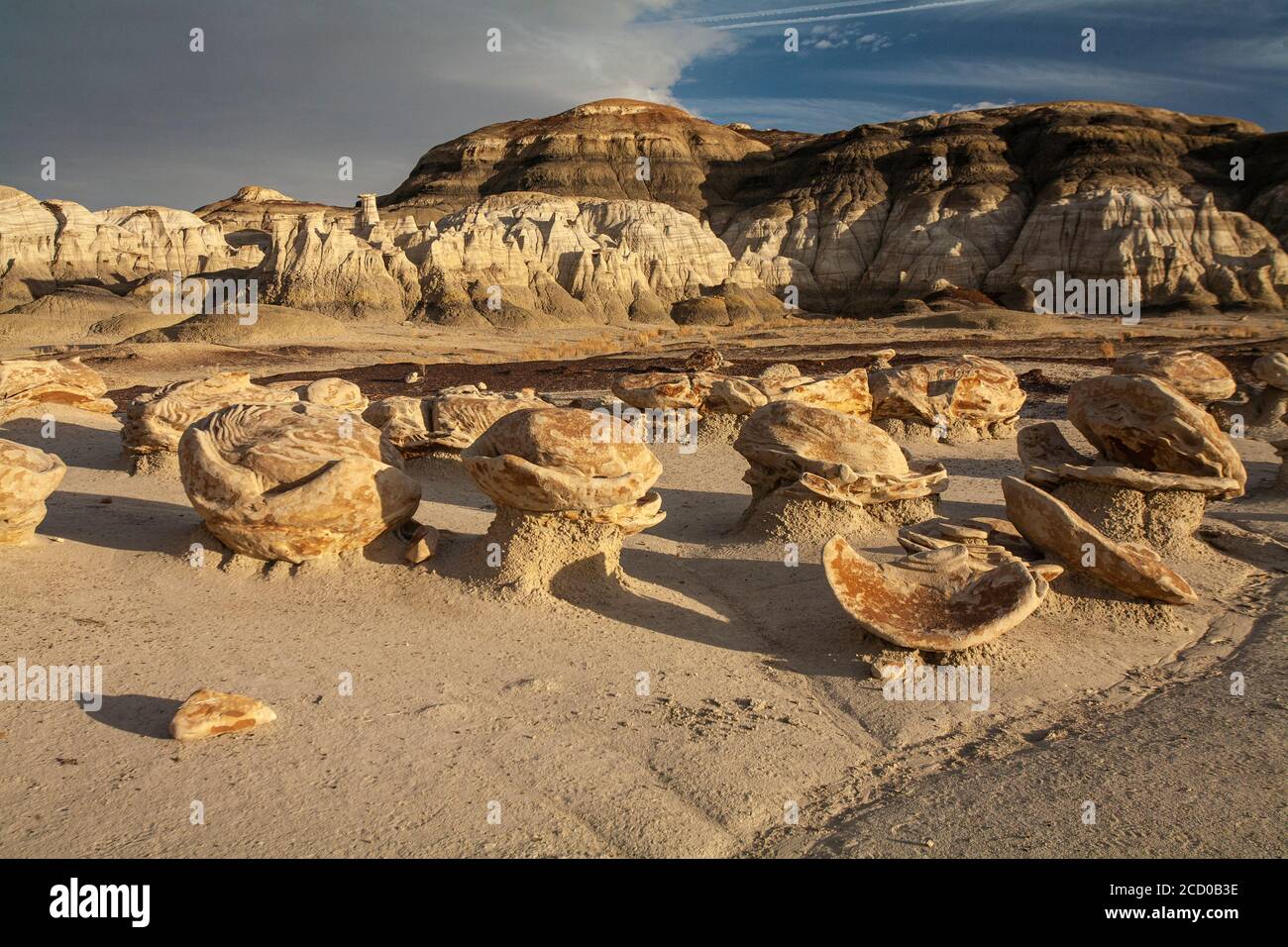 Bisti de na Zin Wilderness area, near Farmington, New Mexico Stock Photo - Alamy