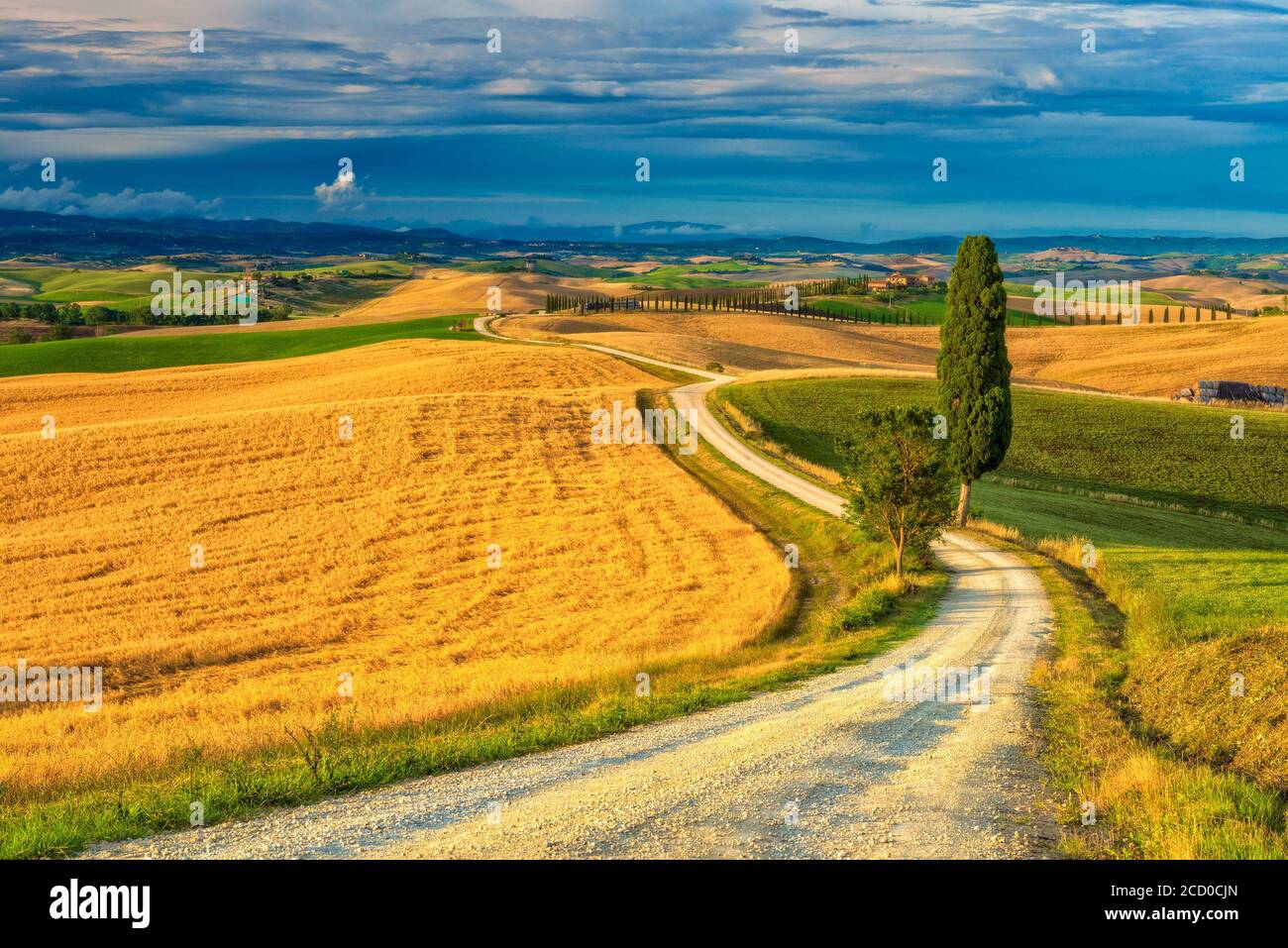 summer fields with a stormy sky in the distance at Ville di Corsano the crete senesi landscape near Siena (Italy) Stock Photo