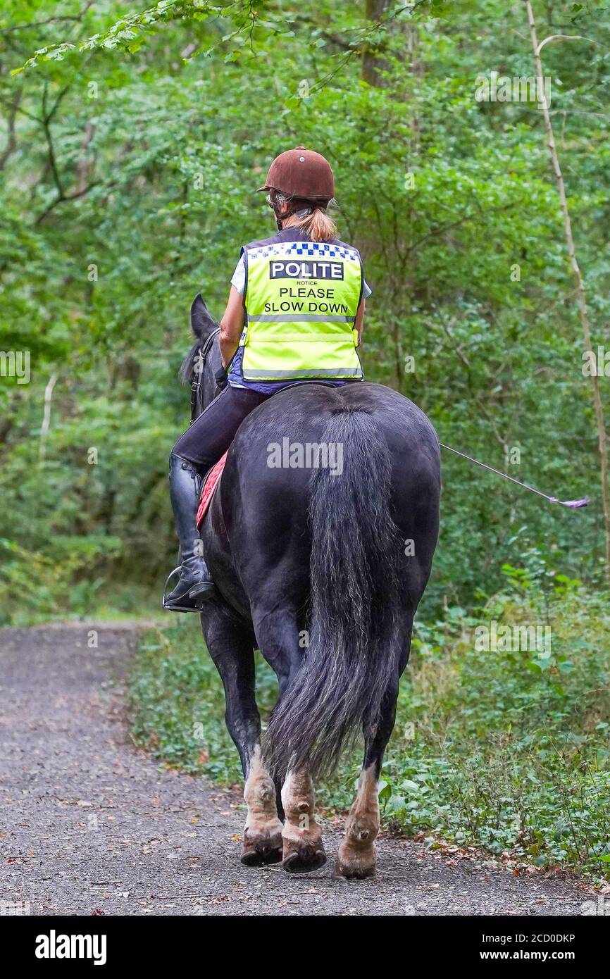 Rear view of horse and female rider isolated on UK bridleway in rural ...