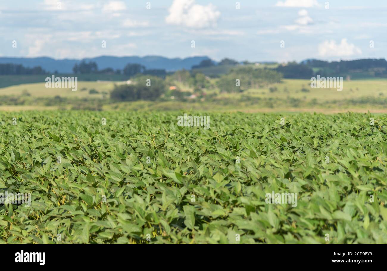 Soy tractor farm brazil hi-res stock photography and images - Alamy