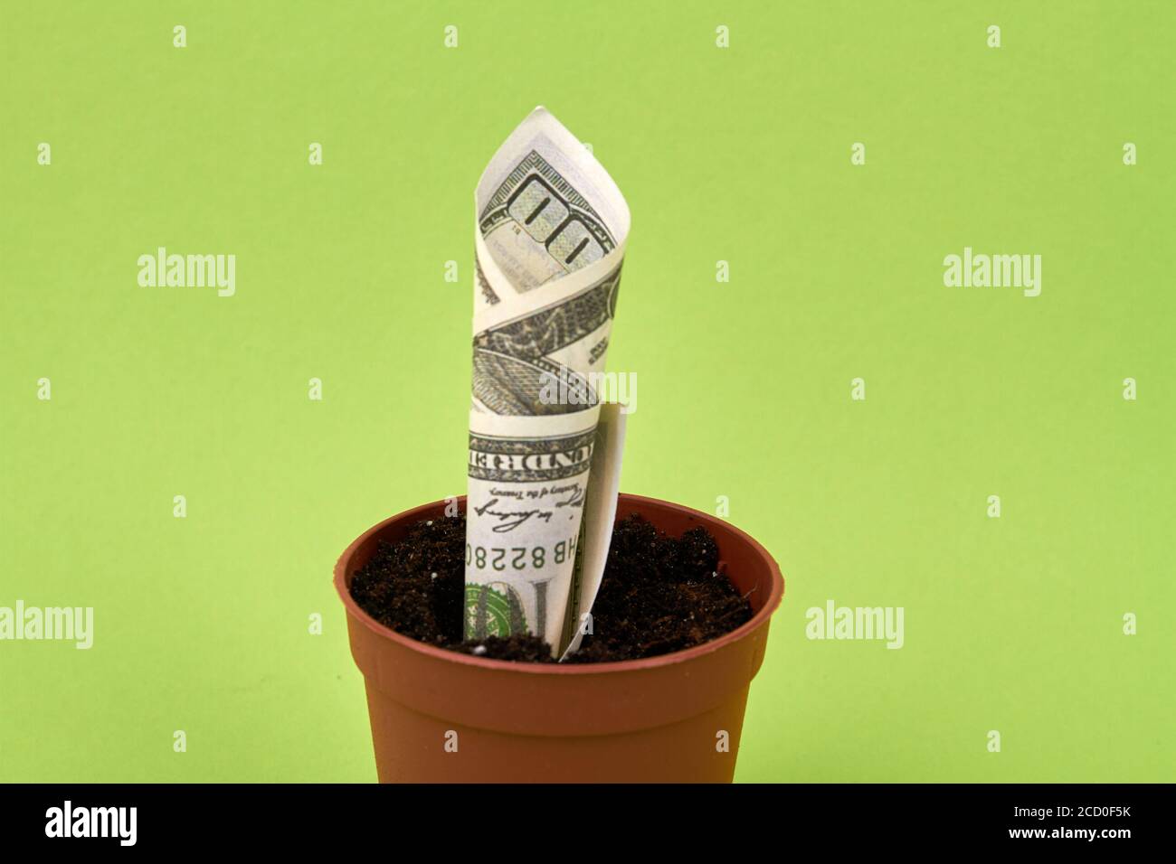 Growing dollar banknote from a flower pot Stock Photo - Alamy