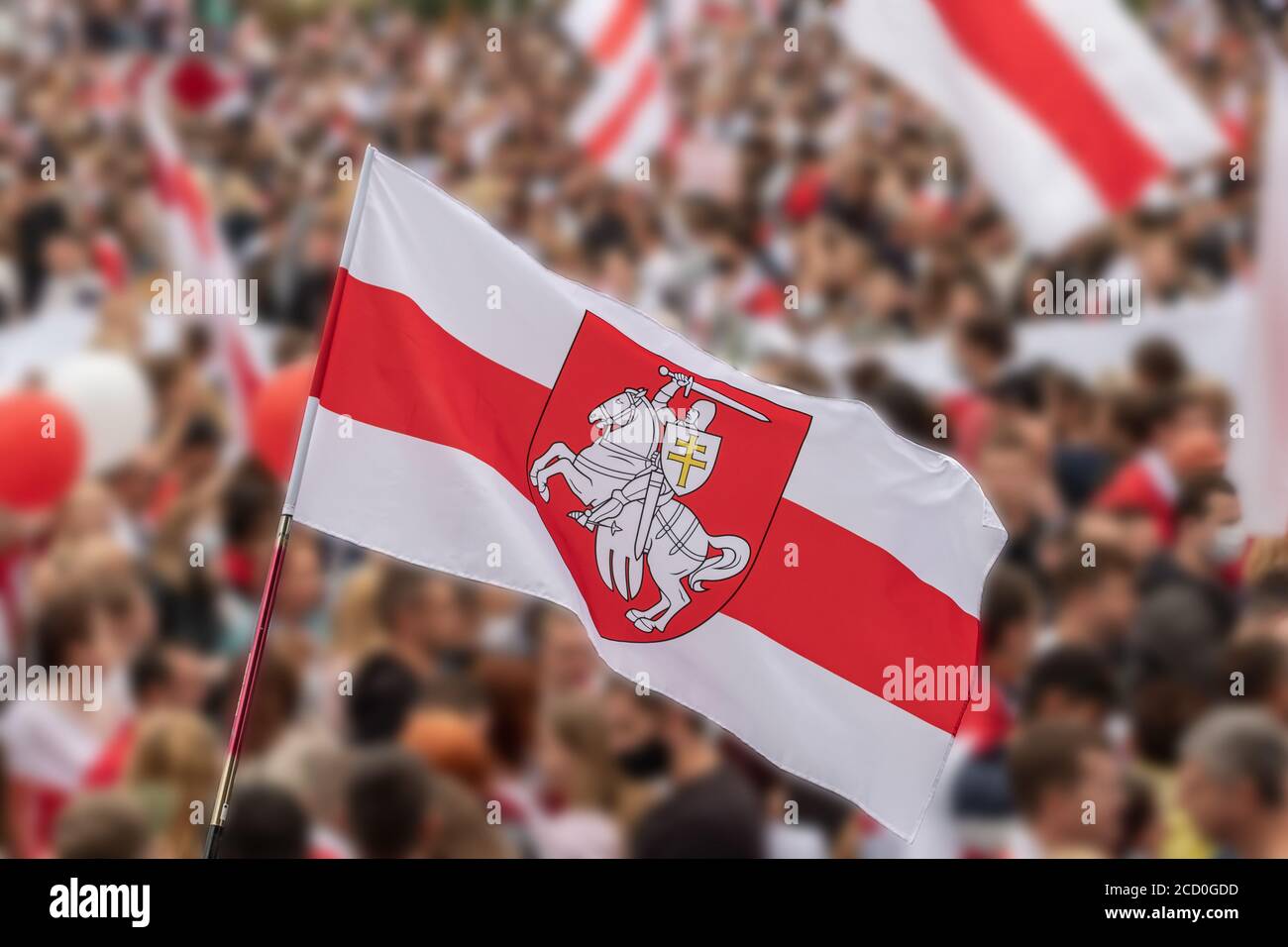 National white red white flag of Belarus with historic belarusian coat of arms Pahonia. Stock Photo