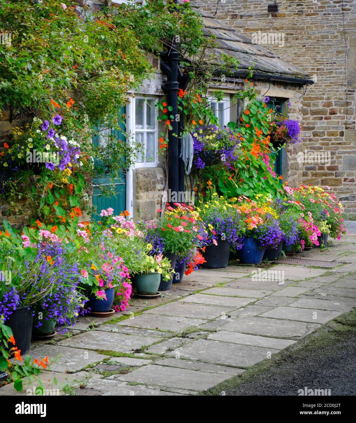 Profusion of flowers in pots and hanging baskets outside a country cottage in the Northumberland village of Blanchland. Stock Photo