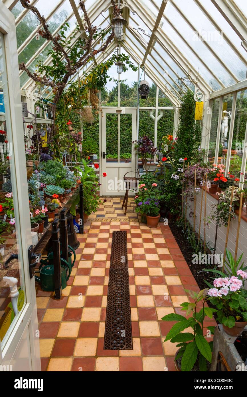 Interior view of a working greenhouse with traditional layout and tiled  floor Stock Photo - Alamy, image size:866x1390