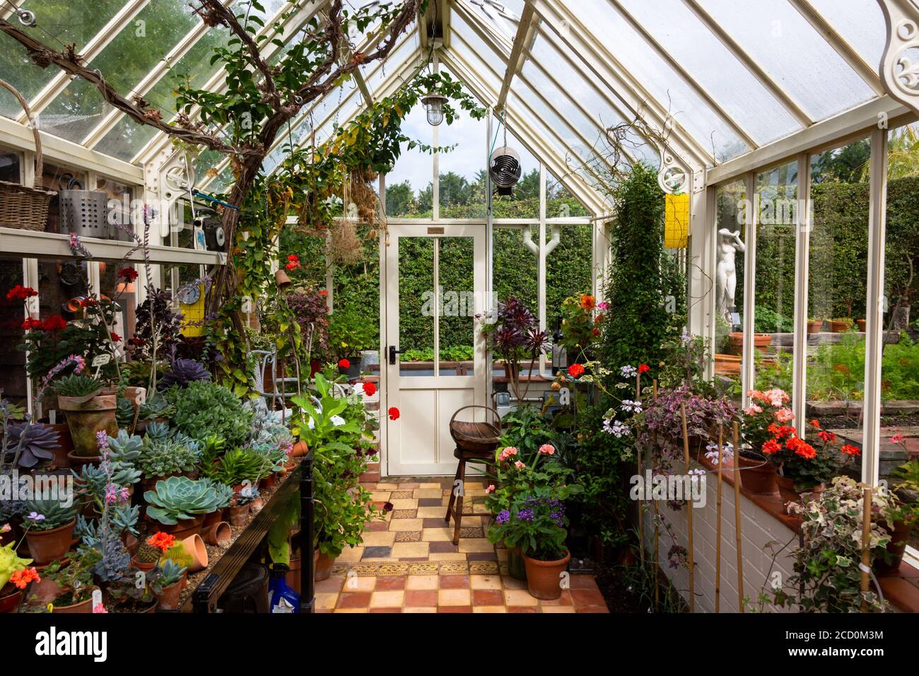 Greenhouse Interior Uk Hi Res Stock Photography And Images Alamy   Interior View Of A Working Greenhouse With Traditional Layout And Tiled Floor 2CD0M3M 