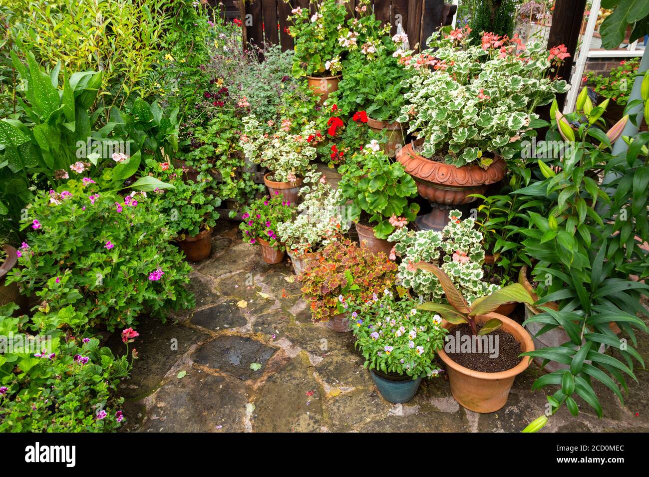 Plants in ceramic pots in a garden Stock Photo