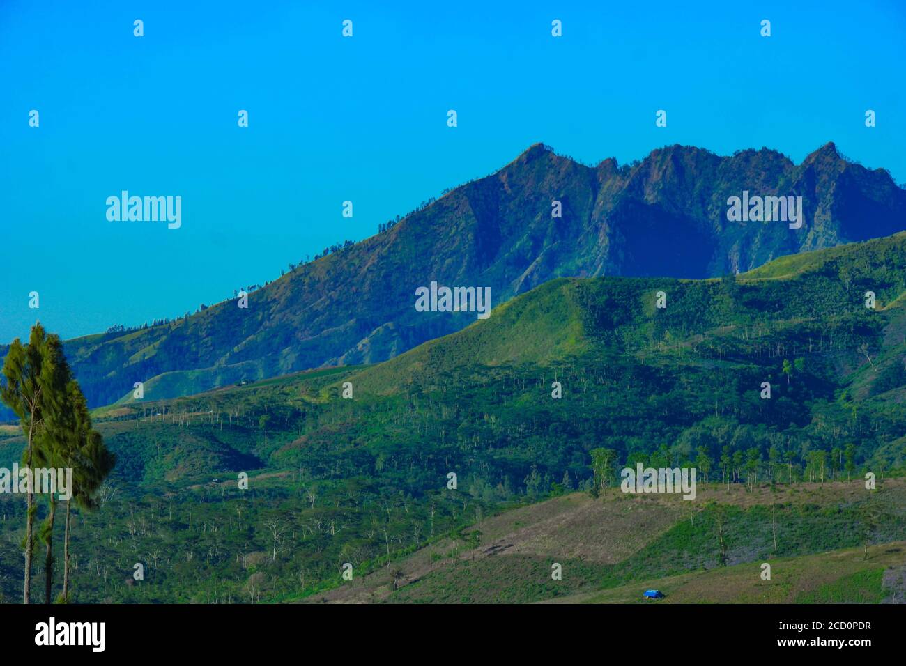 Sloping Ridges View of mountain ridges and sloping hills with trees under a clear blue ...