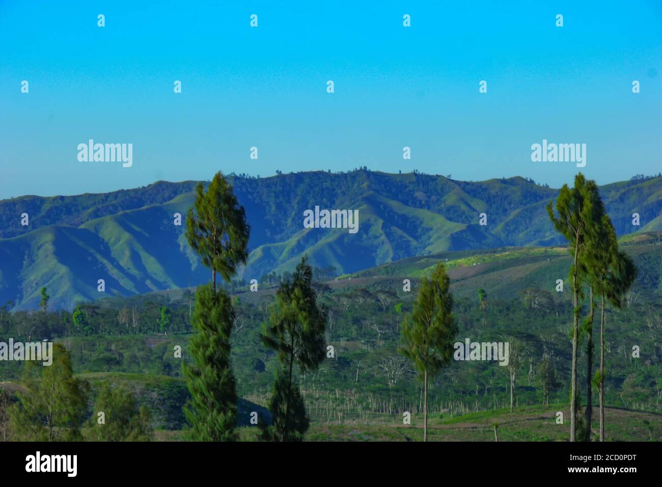 Sloping Ridges View of mountain ridges and sloping hills with trees under a clear blue ...