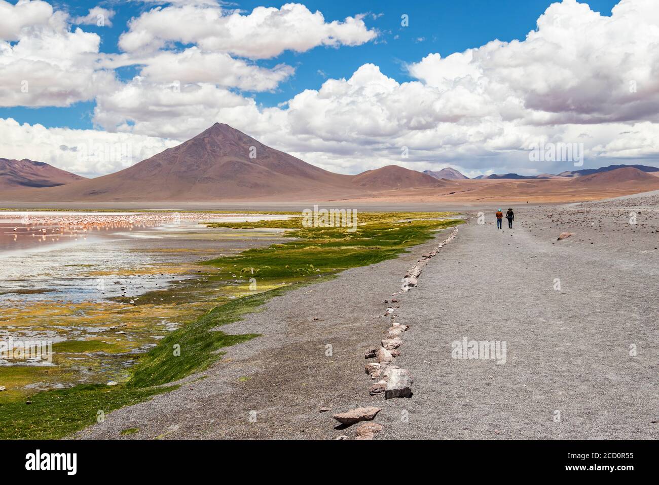 Two people walk along a road past flamingos on Laguna Colorada, Eduardo Avaroa National Park; Potosi Department, Bolivia Stock Photo