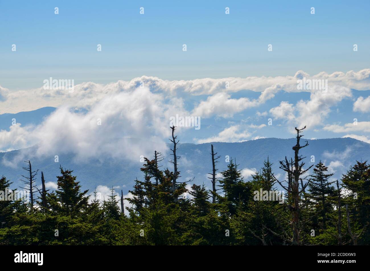 Great Smoky Mountains national park (Smokies), mountain range along the