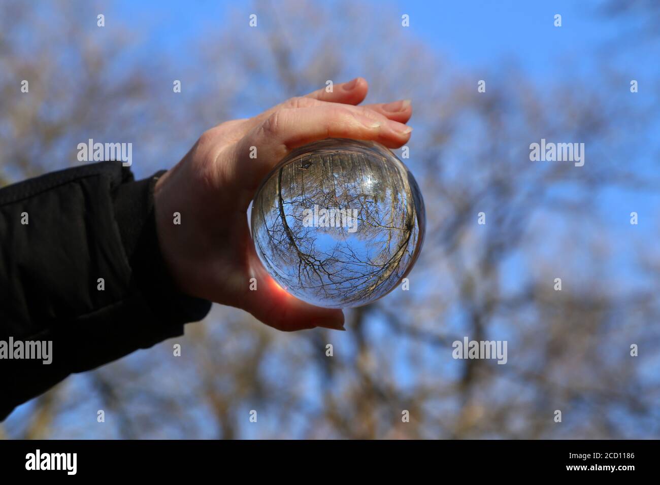 Trees and blue sky through a transparent glass ball Stock Photo - Alamy