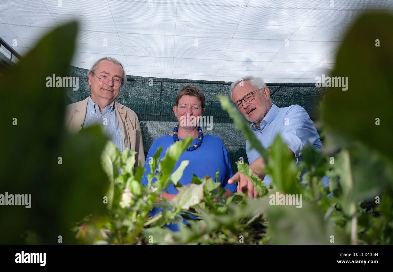 Georg klotz hi-res stock photography and images - Alamy