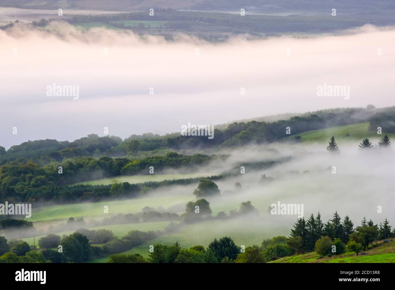 Fog rolling through Irish green fields and forests in the morning; Killaloe, County Clare, Ireland Stock Photo