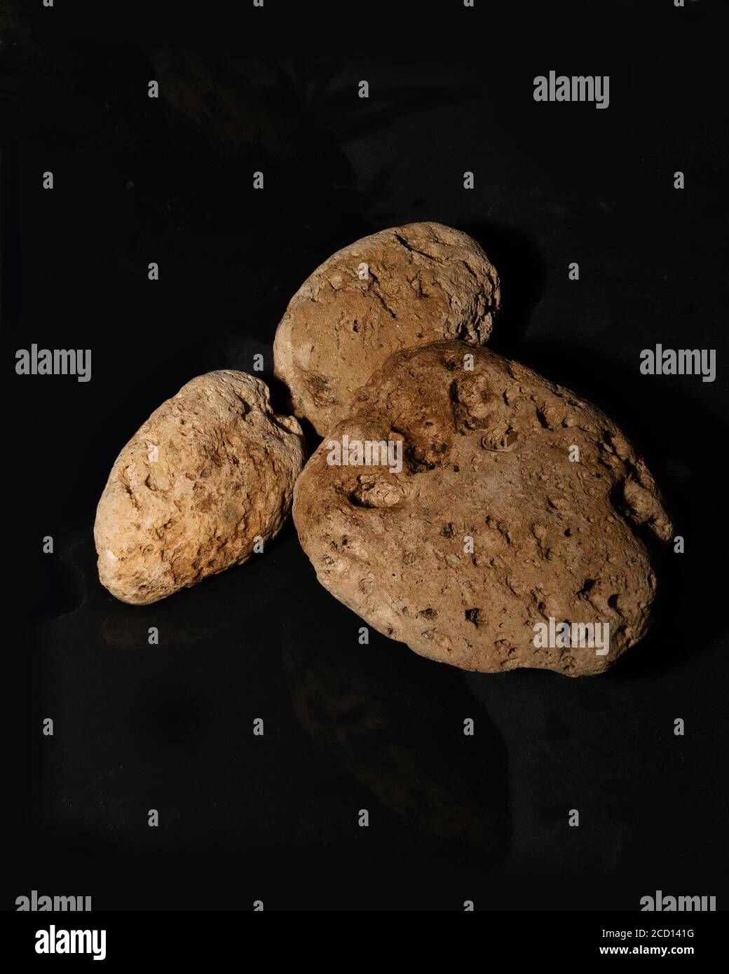 Pumice Stone Isolated. The surface of natural pumice stone on a black ...