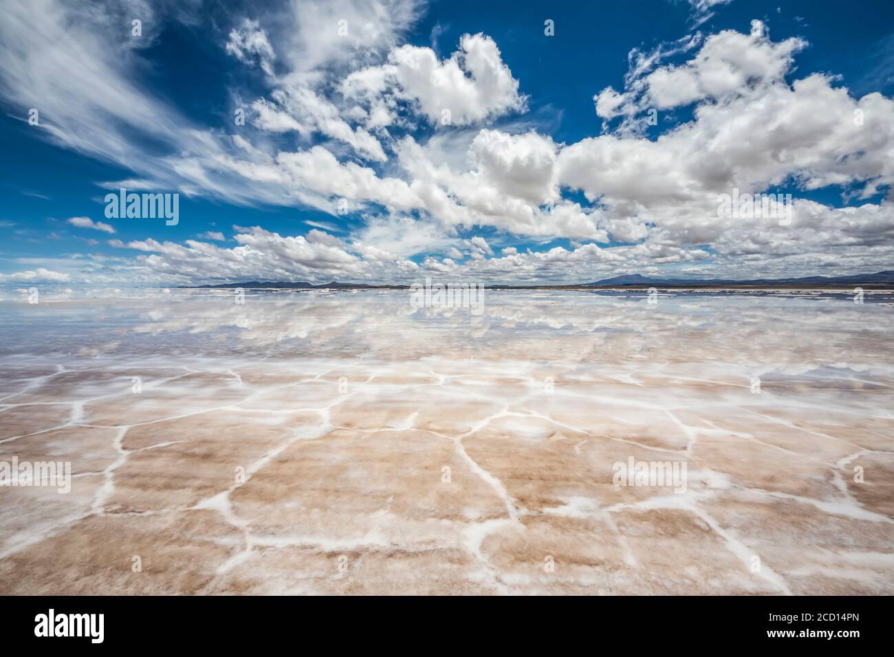 Salar de Uyuni, the world's largest salt flat, during the wet season (December-February); Potosi Department, Bolivia Stock Photo